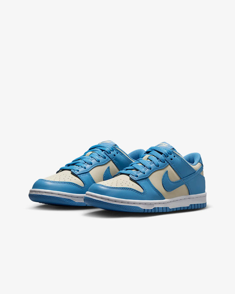 Dunk Low Retro Sneakers