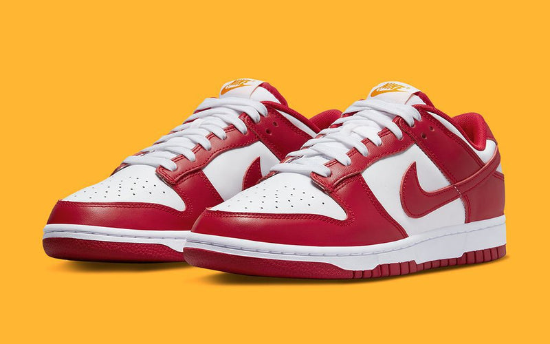 Dunk Low Retro Sneakers